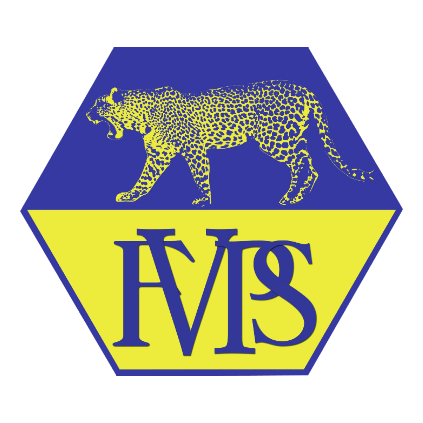 Forest View Primary School